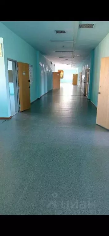 Помещение свободного назначения в Сахалинская область, Курильск ... - Фото 2