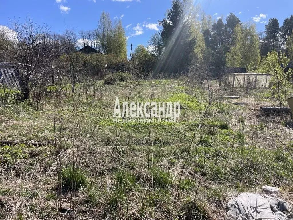 Участок в Ленинградская область, Приозерский район, Мельниковское ... - Фото 2