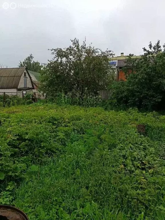 Участок в Курск, микрорайон Курского Завода Тракторных Запчастей, 1-й ... - Фото 1