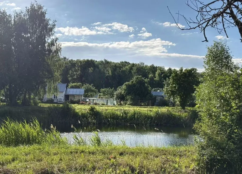 Участок в Московская область, Коломна городской округ, д. Колодкино  ... - Фото 2