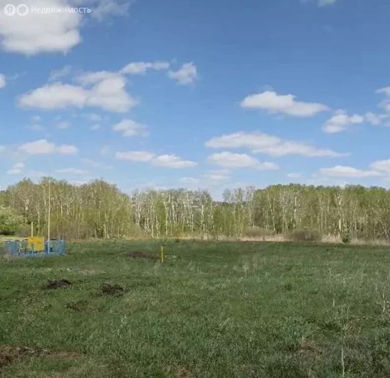 Участок в Кемеровский муниципальный округ, село Ягуново (15 м) - Фото 1