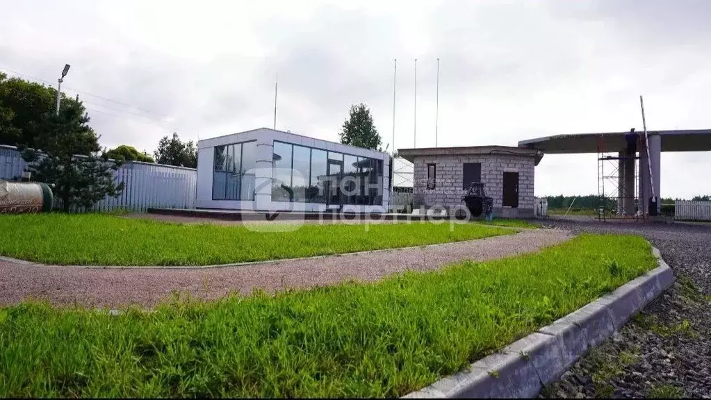 Участок в Ленинградская область, Всеволожский район, Романовское ... - Фото 2