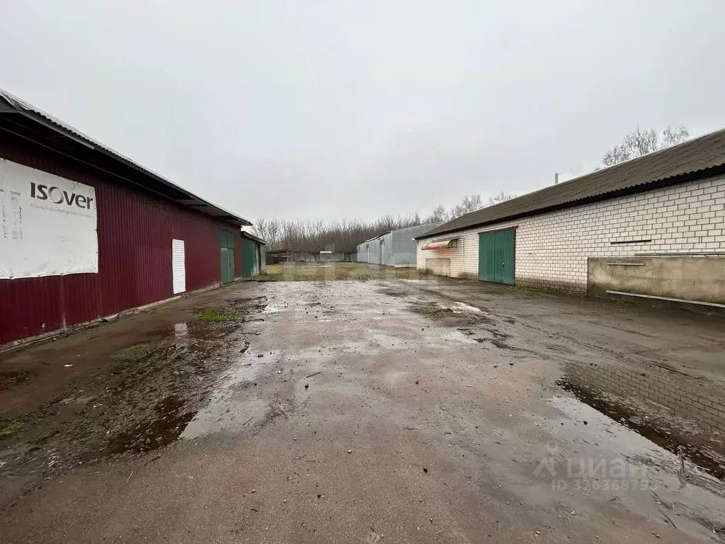 Склад в Брянская область, Стародуб ул. Семашко, 1А (531 м) - Фото 1