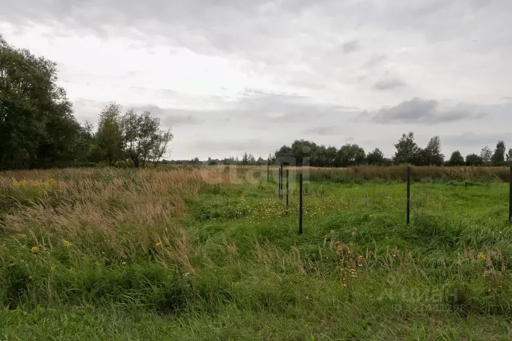 Участок в Калининградская область, Гвардейский муниципальный округ, ... - Фото 1