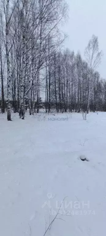 Дом в Нижегородская область, Богородский муниципальный округ, д. ... - Фото 1