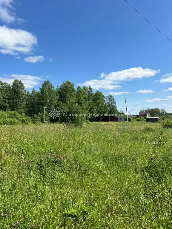 Участок в Томская область, Томский район, с. Корнилово, Красная горка ... - Фото 2