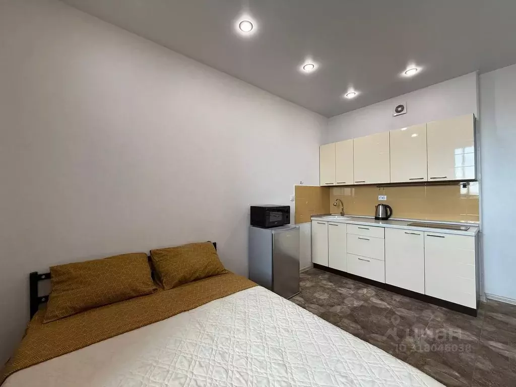 Студия Новосибирская область, Новосибирск ул. Немировича-Данченко, ... - Фото 2