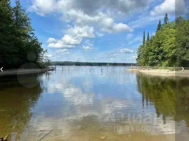 Участок в Пермский край, Добрянский городской округ, д. Залесная  (9.0 ... - Фото 1