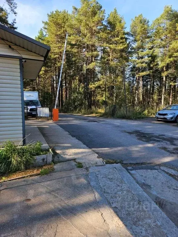 Дом в Ленинградская область, Сосновый Бор Энергетик СНТ, ул. Кедровая, ... - Фото 2