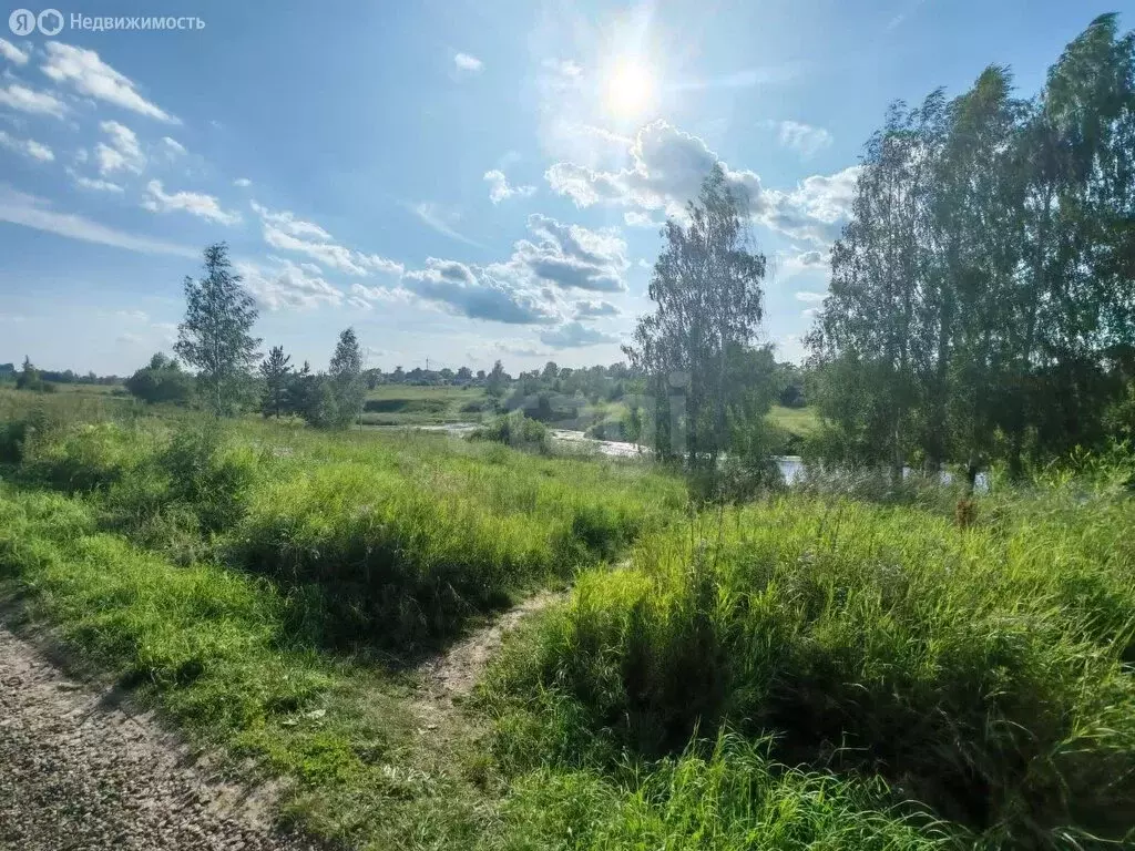 Участок в Луховицы, садовое товарищество Росинка, 16-я линия (3.92 м) - Фото 1