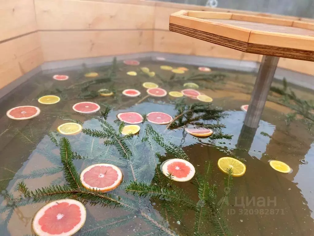 Дом в Новгородская область, Новгородский район, Ракомское с/пос, д. ... - Фото 1