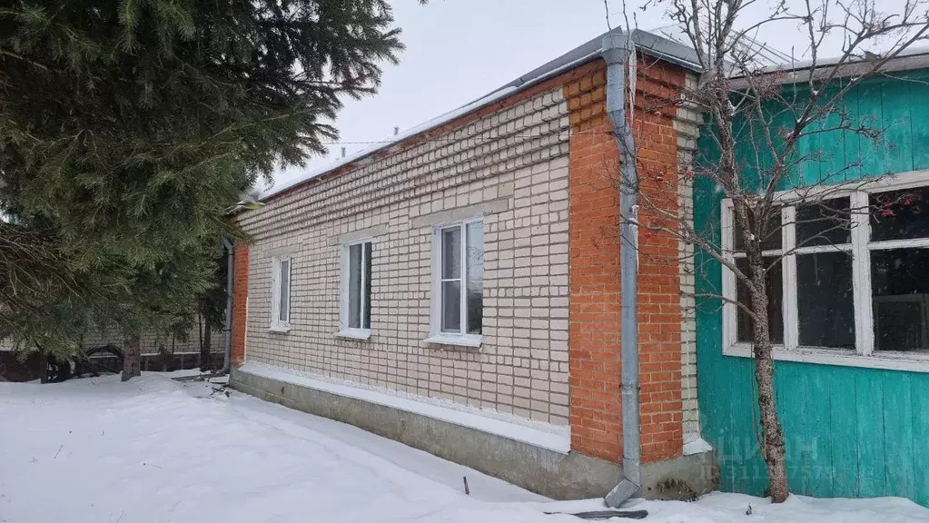 Дом в Алтайский край, Барнаул городской округ, с. Гоньба ул. ... - Фото 0