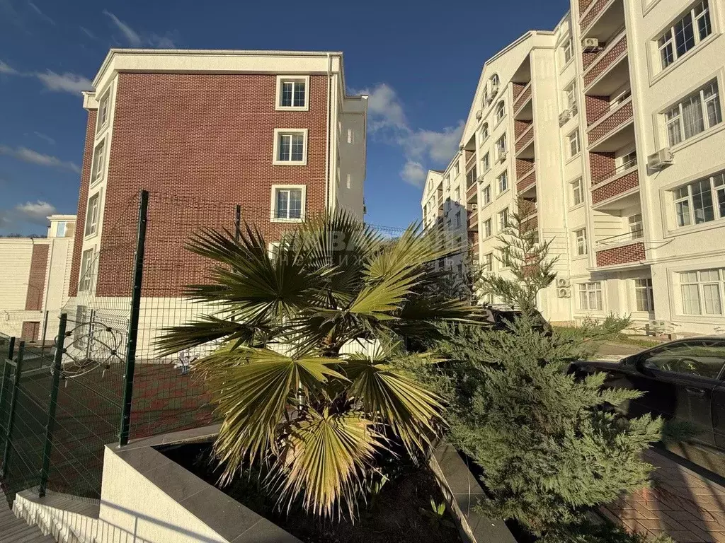 Студия Краснодарский край, Сочи ул. Ленина, 290/7 (20.0 м) - Фото 2