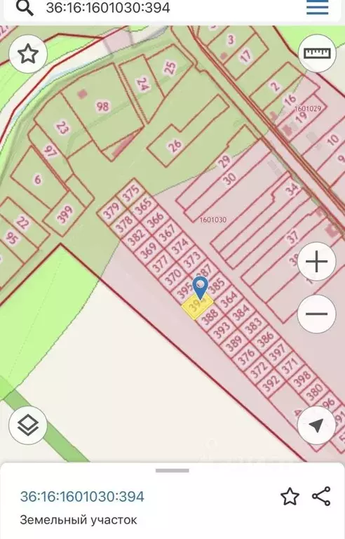 Участок в Воронежская область, Новоусманский район, с. Орлово ул. ... - Фото 1