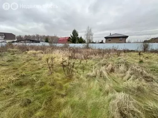 Участок в Воронежская область, село Новая Усмань (8 м) - Фото 0