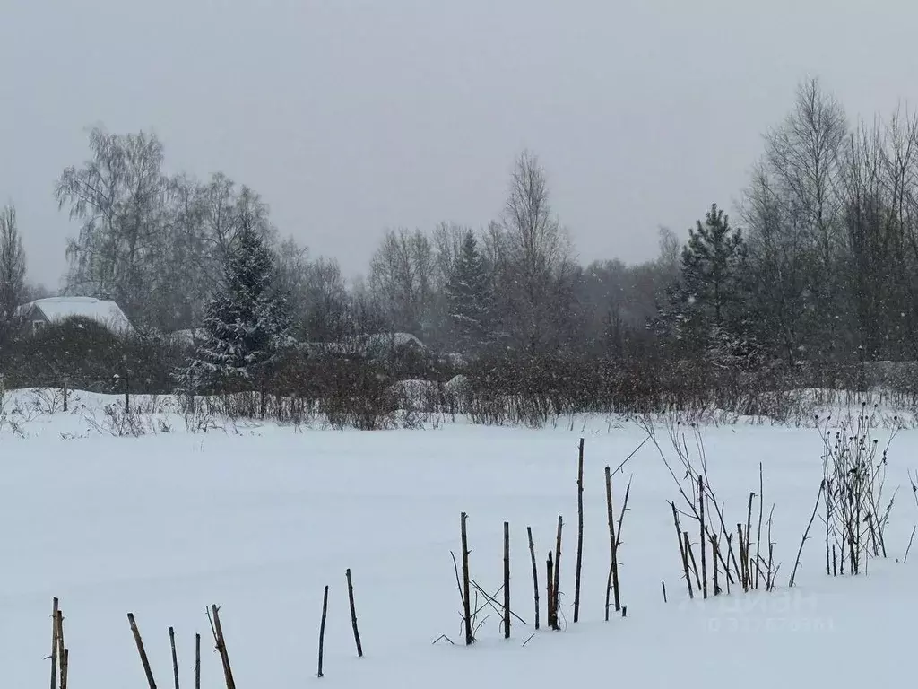 Участок в Московская область, Можайский муниципальный округ, д. ... - Фото 2