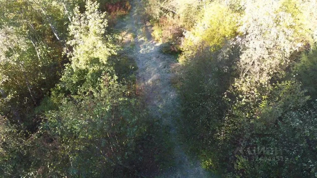 Участок в Карелия, Сортавальский муниципальный округ, пос. Пуйккола  ... - Фото 2