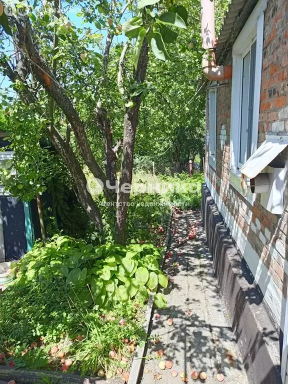 Дом в Новошахтинск, улица Моисеенко, 6 (49.9 м) - Фото 1