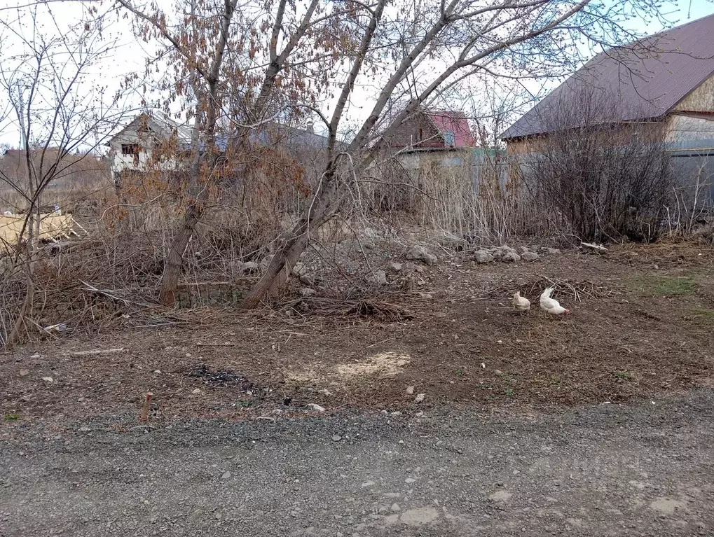 Участок в Оренбургская область, Оренбург Энергостроитель СНТ, ул. ... - Фото 0