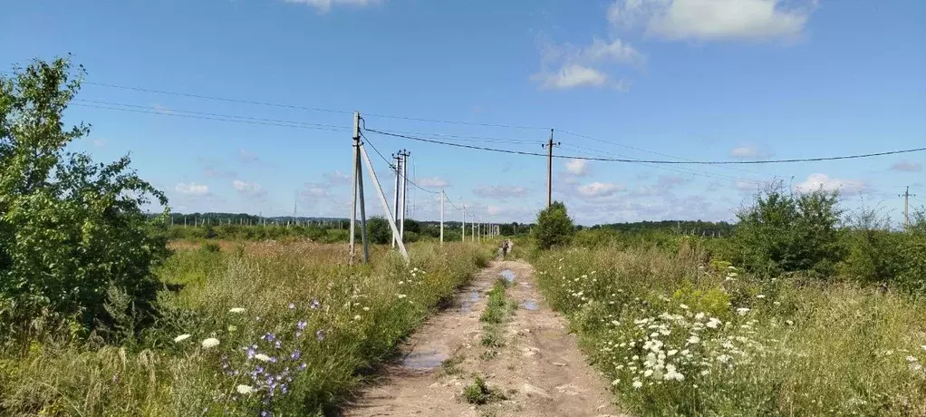 Участок в Калининградская область, Зеленоградский муниципальный округ, ... - Фото 0