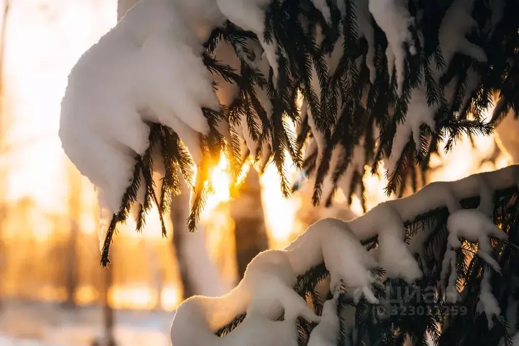 Дом в Ленинградская область, Приозерский район, Ромашкинское с/пос, ... - Фото 2