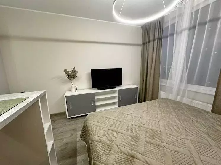 Студия Санкт-Петербург Витебский просп., 101к1 (24.0 м) - Фото 2
