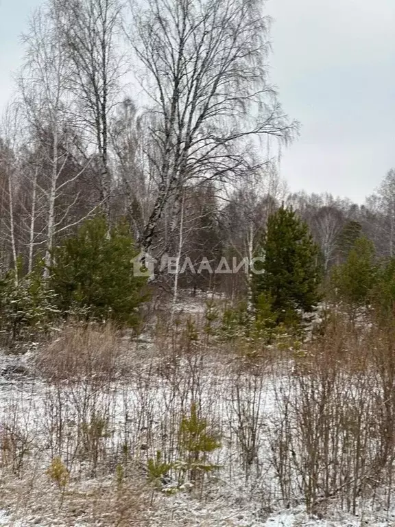 Участок в Красноярский край, Емельяновский район, Никольский ... - Фото 1