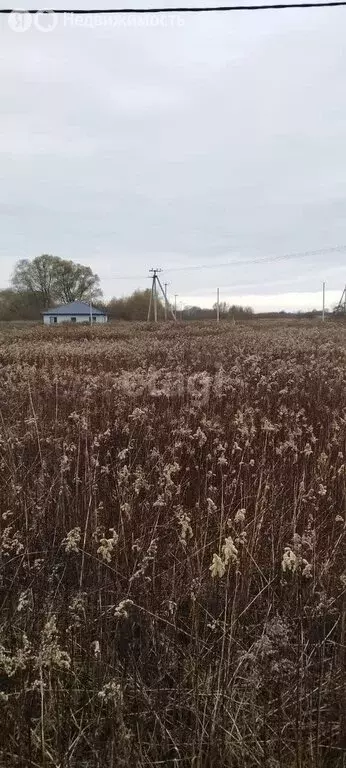 участок в калининградская область, зеленоградский муниципальный округ, . - Фото 1