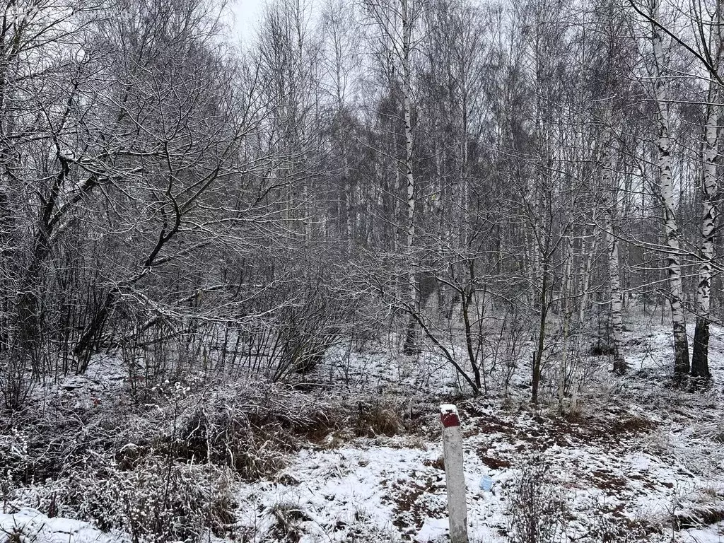 Участок в Шиловский район, М-5 Урал, 294-й километр (1.65 м) - Фото 0