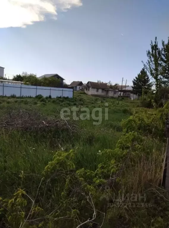 Участок в Волгоградская область, Среднеахтубинский район, Фрунзенское ... - Фото 2