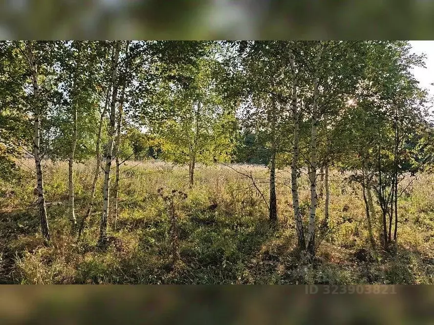 Участок в Московская область, Серебряные Пруды пгт ул. Советская ... - Фото 1