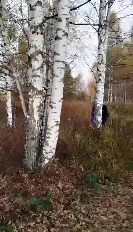 Участок в Нижегородская область, Дивеевский муниципальный округ, с. ... - Фото 0