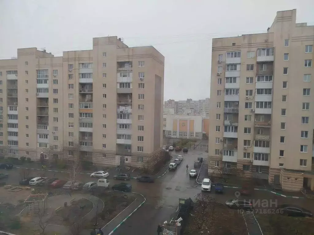 3-к кв. Саратовская область, Саратов ул. Имени С.П. Лисина, 7А (62.3 ... - Фото 2