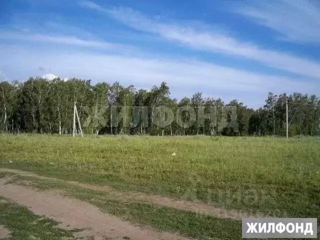 Участок в Новосибирская область, Новосибирский район, Криводановский ... - Фото 0