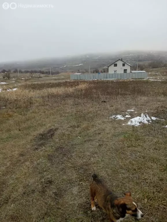 Участок в Ставропольский край, Шпаковский муниципальный округ, село ... - Фото 0