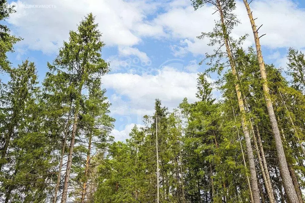 Участок в посёлок Барвиха, территория Сады Майендорф (50 м) - Фото 1