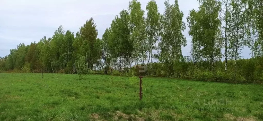 Участок в Калужская область, Калуга городской округ, д. Лихун ул. ... - Фото 1