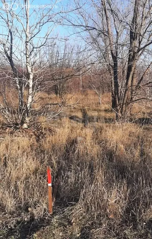 Участок в Персиановский, СТ Курень, Песчаная улица (13 м) - Фото 1
