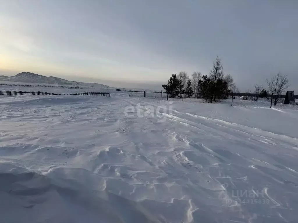 Участок в Алтайский край, Советский район, с. Платово Молодежная ул. ... - Фото 1