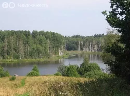 Участок в Яжелбицкое сельское поселение, деревня Борцово (50 м) - Фото 1