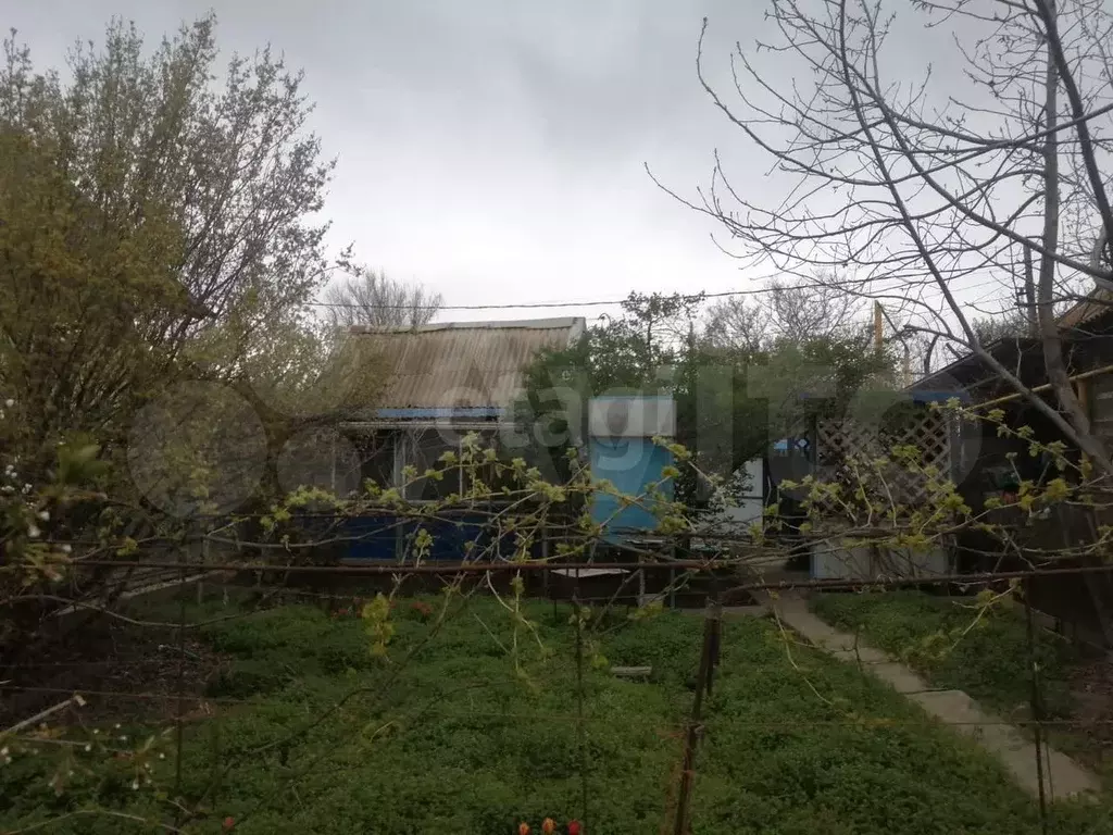 Участок 4,3 сот. (ИЖС) - Фото 1