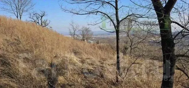 Участок в Приморский край, Артем ул. Котовского (10.0 сот.) - Фото 0