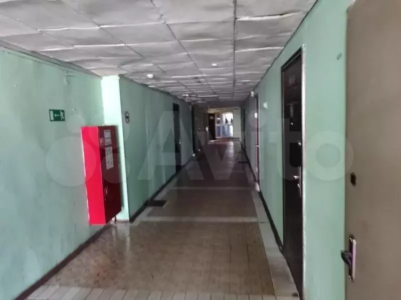 Сдам помещение свободного назначения, 310 м - Фото 0