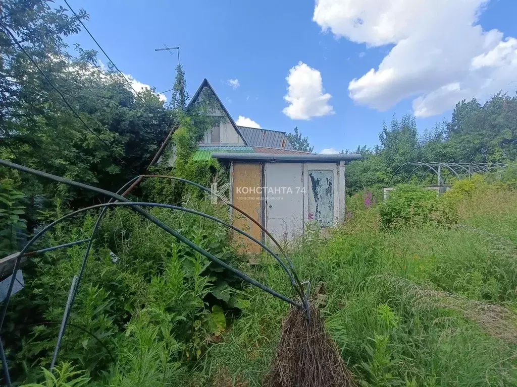 Участок в Челябинская область, Аргаяшский муниципальный округ, ... - Фото 1