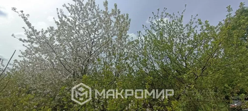 Участок в Орловская область, Орловский муниципальный округ, Оазис СНТ  ... - Фото 0