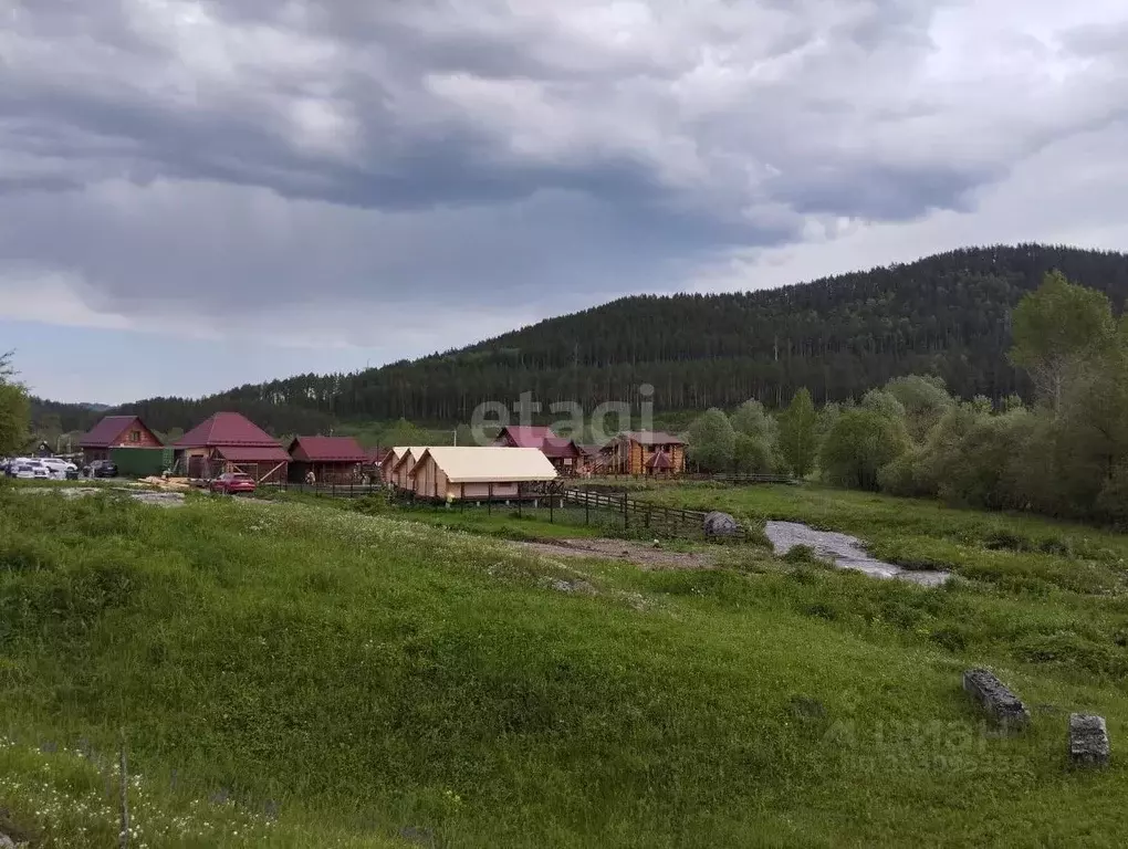 Участок в Алтайский край, Алтайский район, с. Нижнекаянча ул. ... - Фото 1