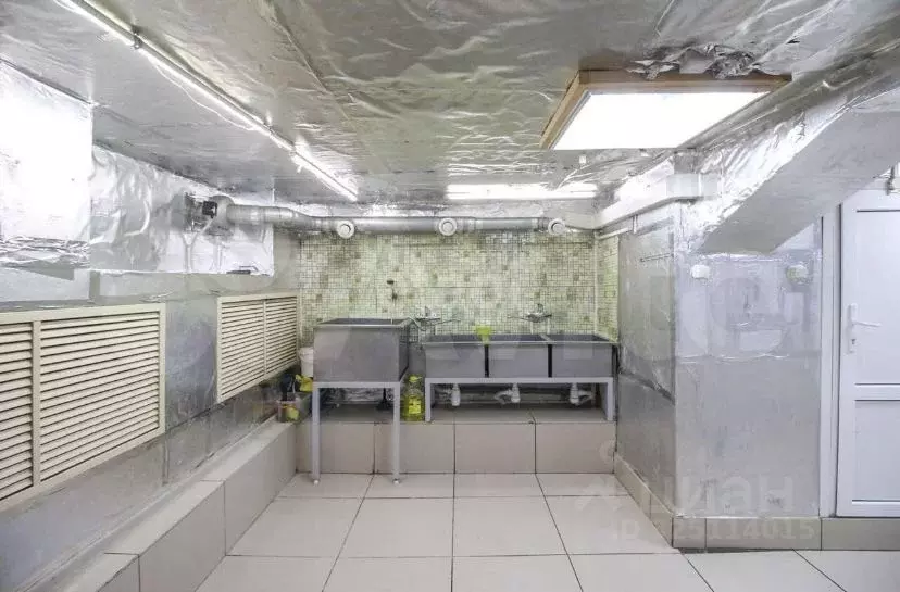 Помещение свободного назначения в Алтайский край, Барнаул ул. Антона ... - Фото 1