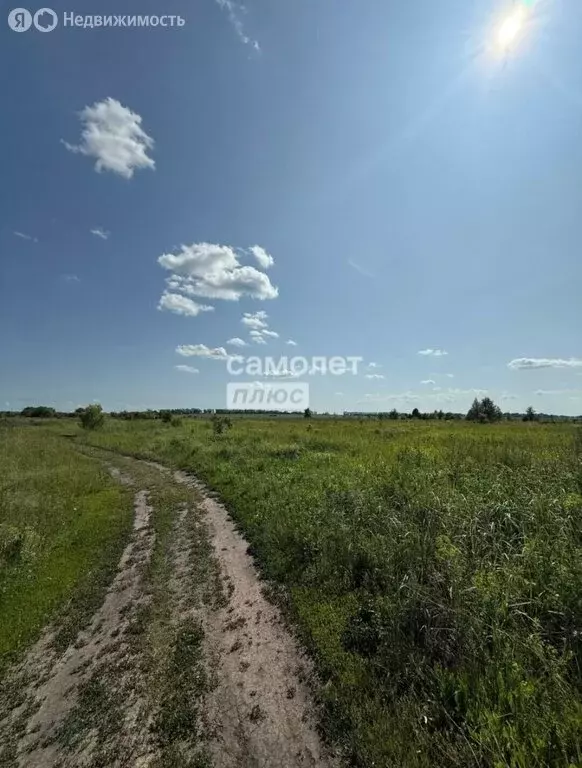 Участок в село Алферьевка, Набережная улица (9.76 м) - Фото 2