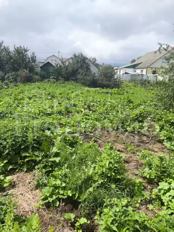 Дом в Курская область, Курск Лазурная ул., 67 (70 м) - Фото 1