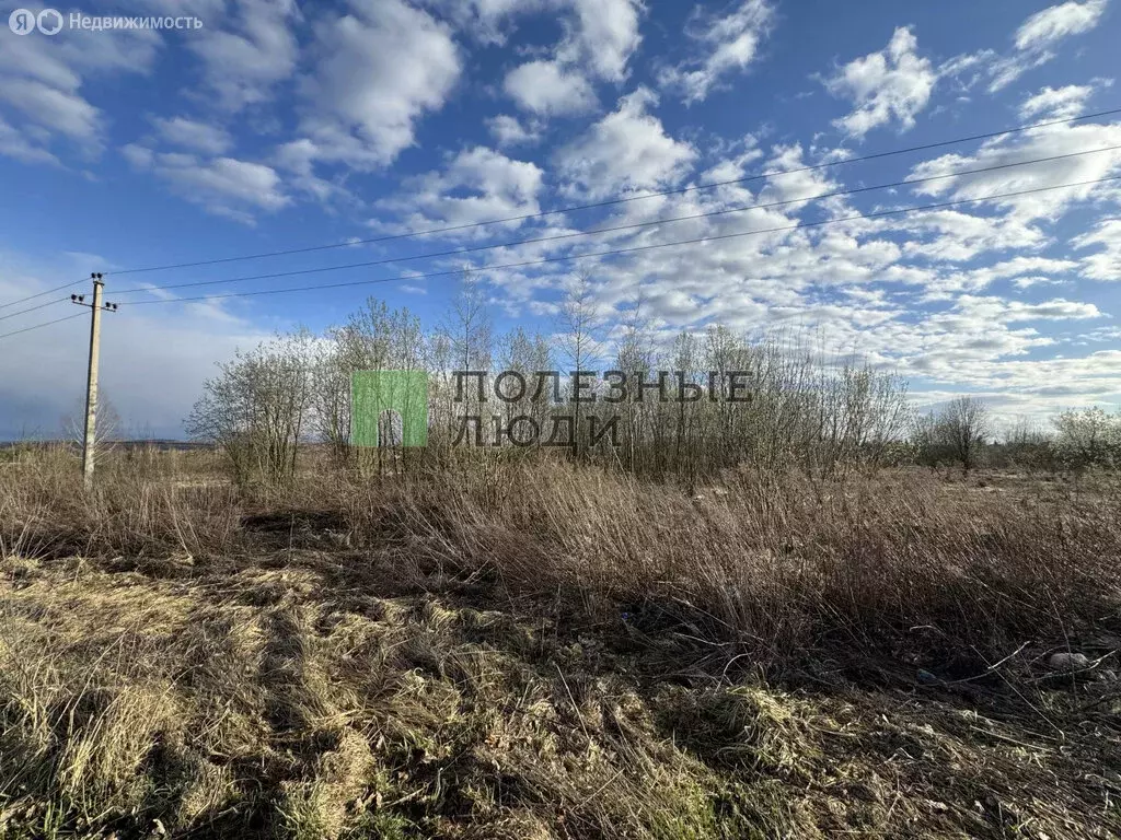 Участок в Орловский муниципальный округ, деревня Хардиково (19 м) - Фото 2